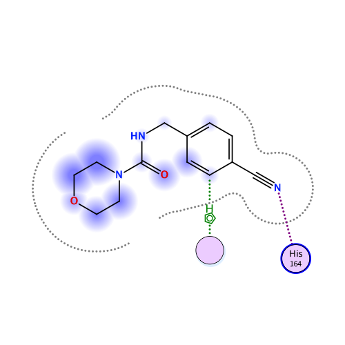 ligand interaction