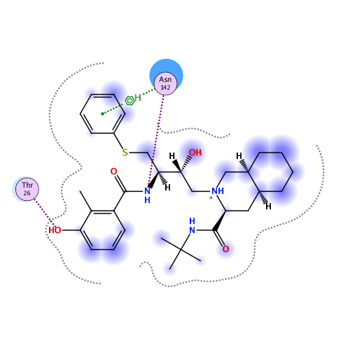 ligand interaction