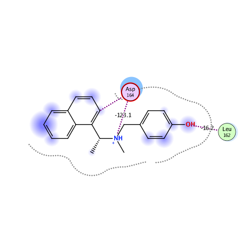 ligand interaction