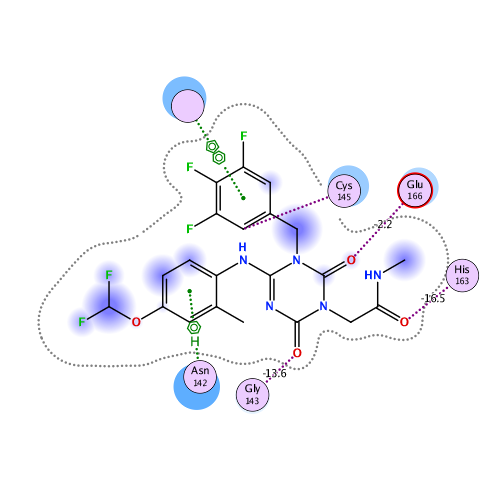 ligand interaction