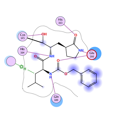 ligand interaction