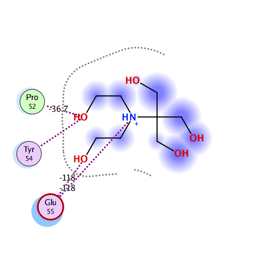 ligand interaction