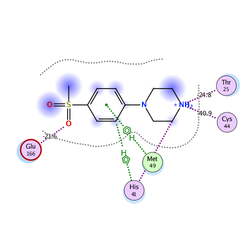 ligand interaction