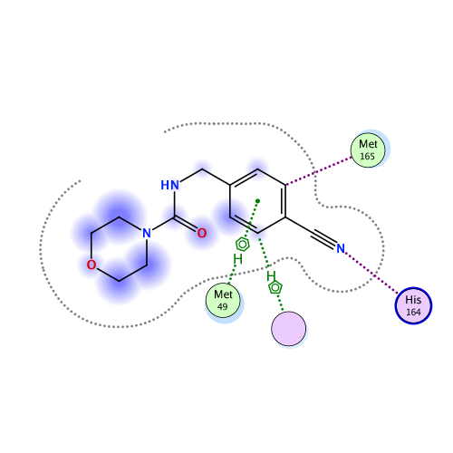 ligand interaction