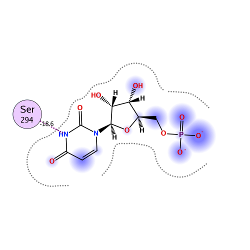 ligand interaction