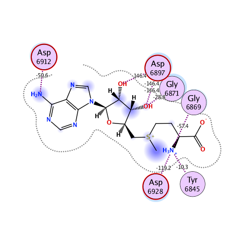 ligand interaction