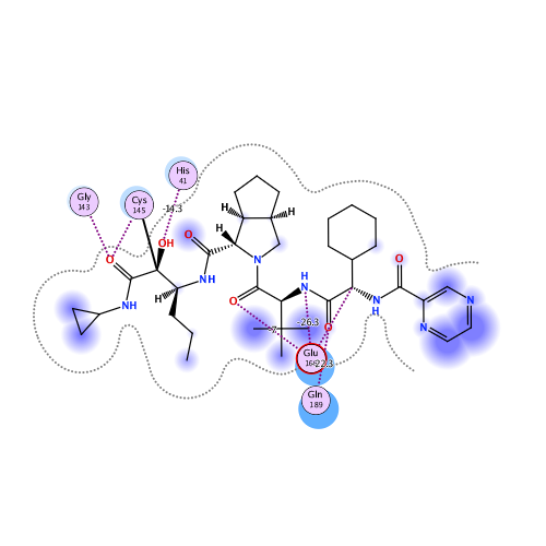 ligand interaction