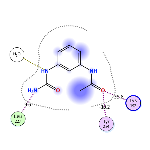 ligand interaction