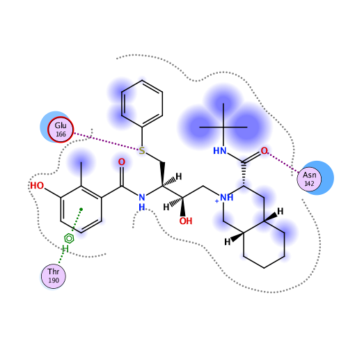 ligand interaction