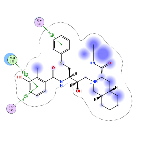 ligand interaction