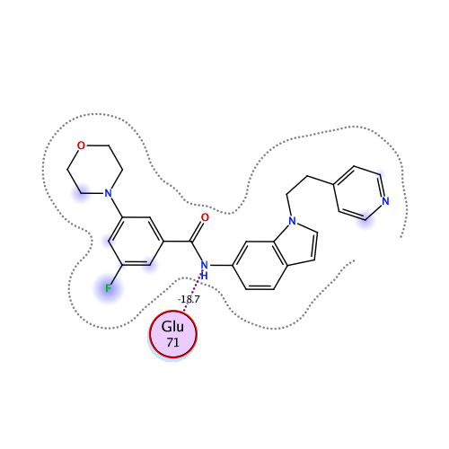 ligand interaction