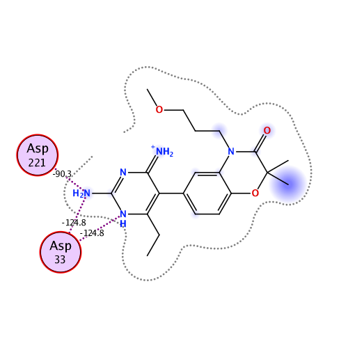 ligand interaction