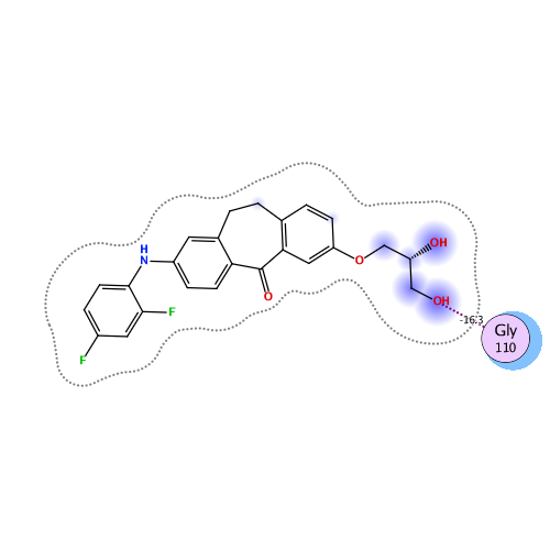 ligand interaction