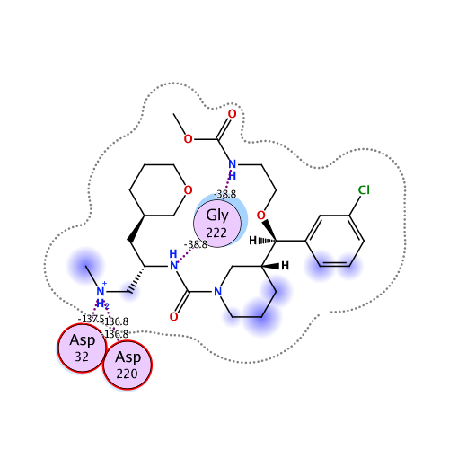 ligand interaction