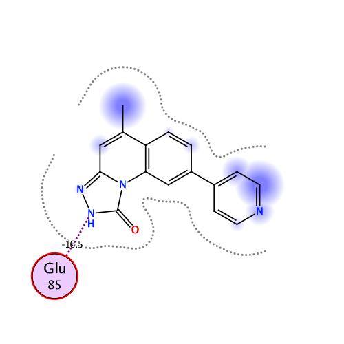 ligand interaction