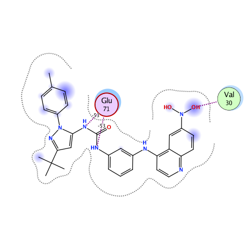 ligand interaction