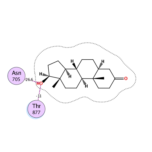 ligand interaction