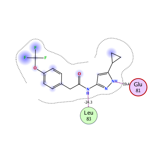 ligand interaction