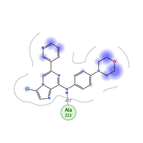 ligand interaction