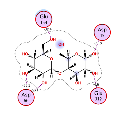 ligand interaction