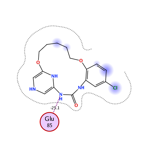 ligand interaction