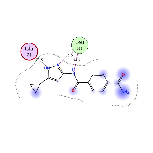 ligand interaction