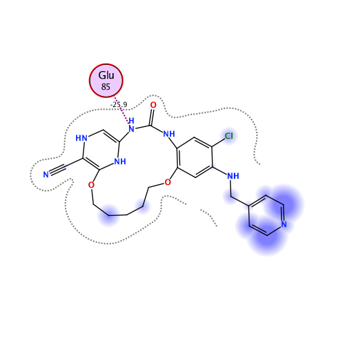 ligand interaction