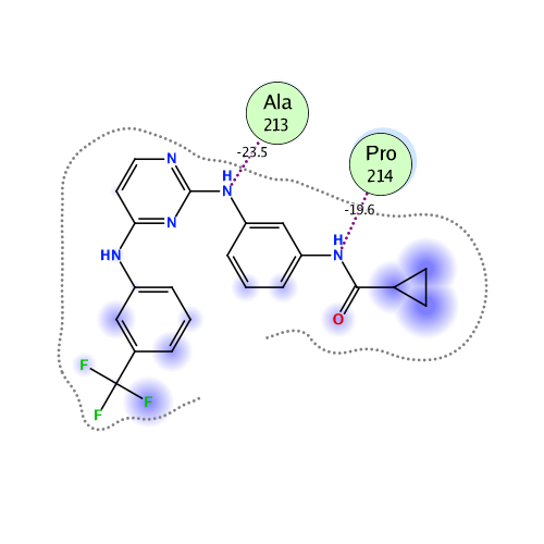 ligand interaction