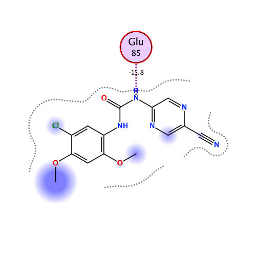 ligand interaction