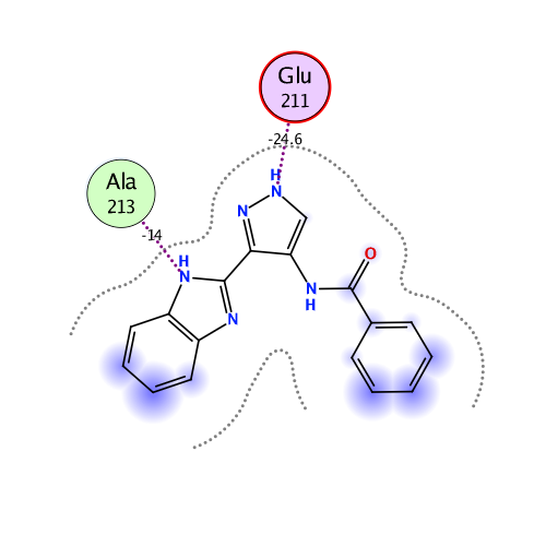 ligand interaction