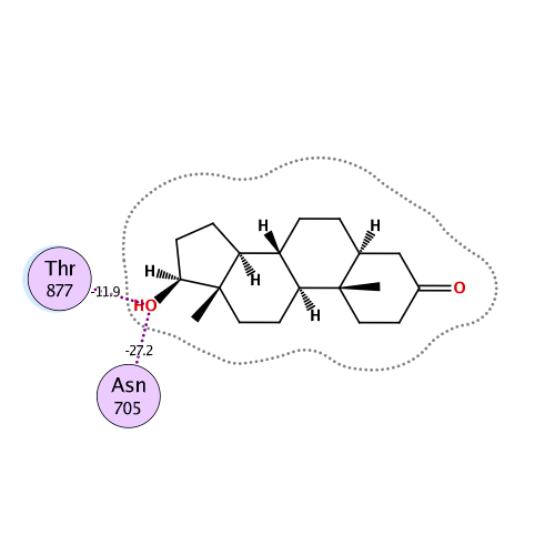 ligand interaction