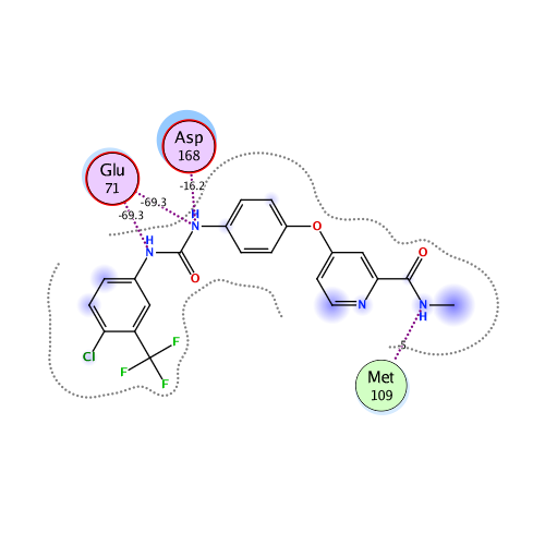 ligand interaction