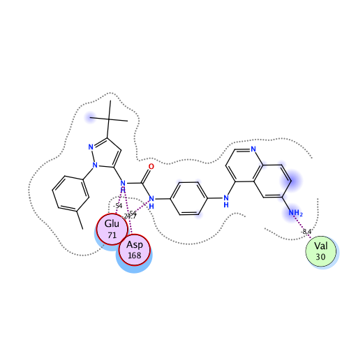 ligand interaction