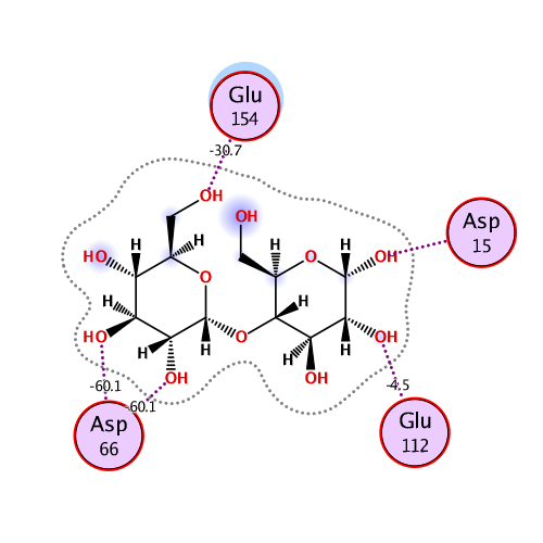 ligand interaction