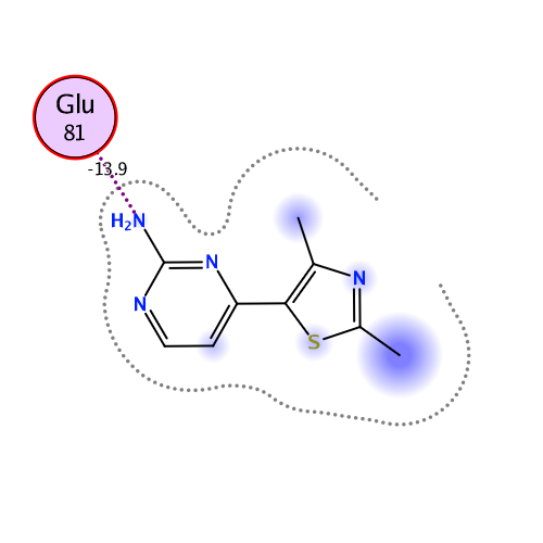ligand interaction