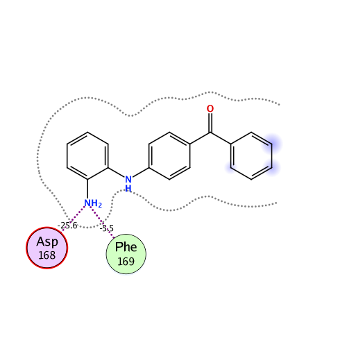 ligand interaction