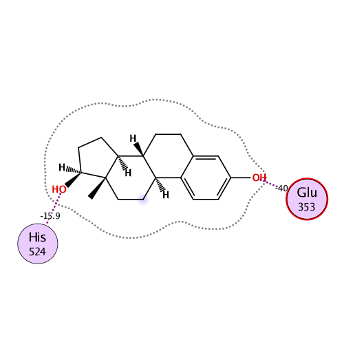 ligand interaction