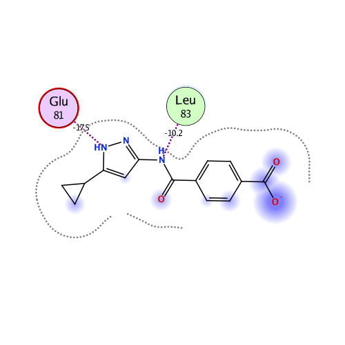 ligand interaction