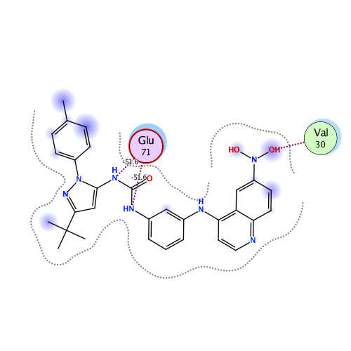 ligand interaction