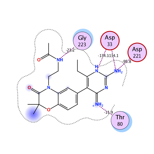 ligand interaction