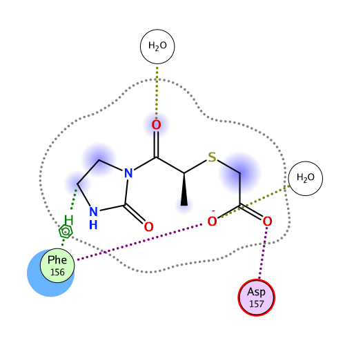 ligand interaction