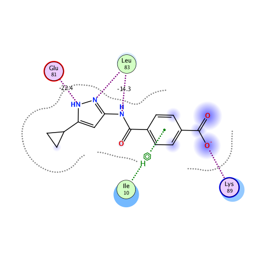 ligand interaction