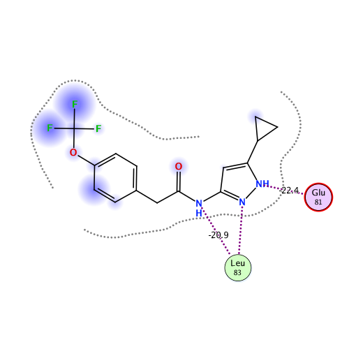 ligand interaction