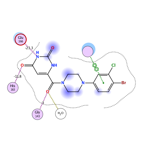 ligand interaction