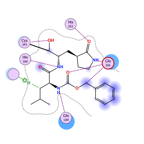 ligand interaction