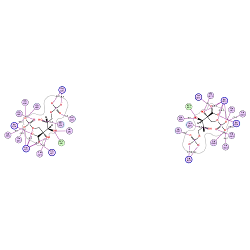 ligand interaction