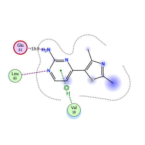 ligand interaction