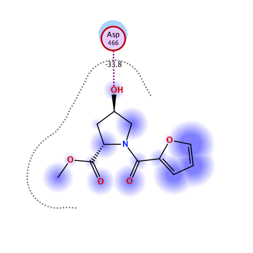 ligand interaction