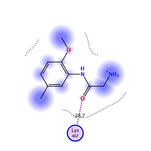 ligand interaction