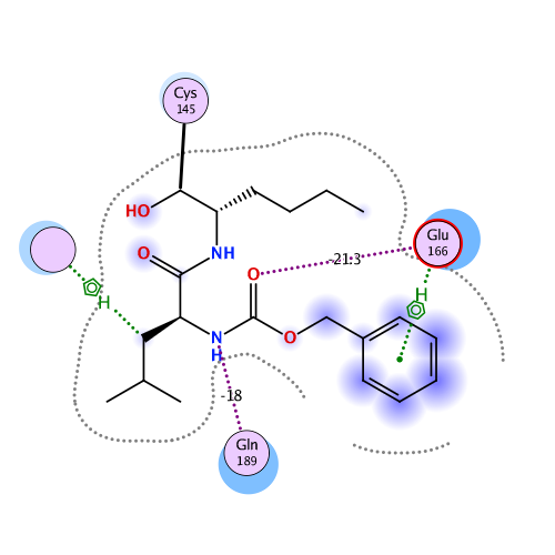 ligand interaction